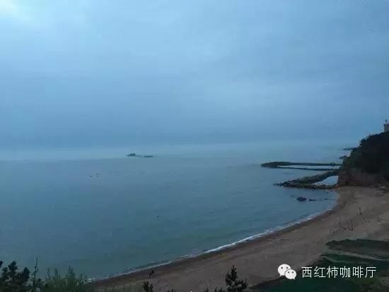 狗狗出行-独享私家海滩-威海国家4A级风景名胜区成山头