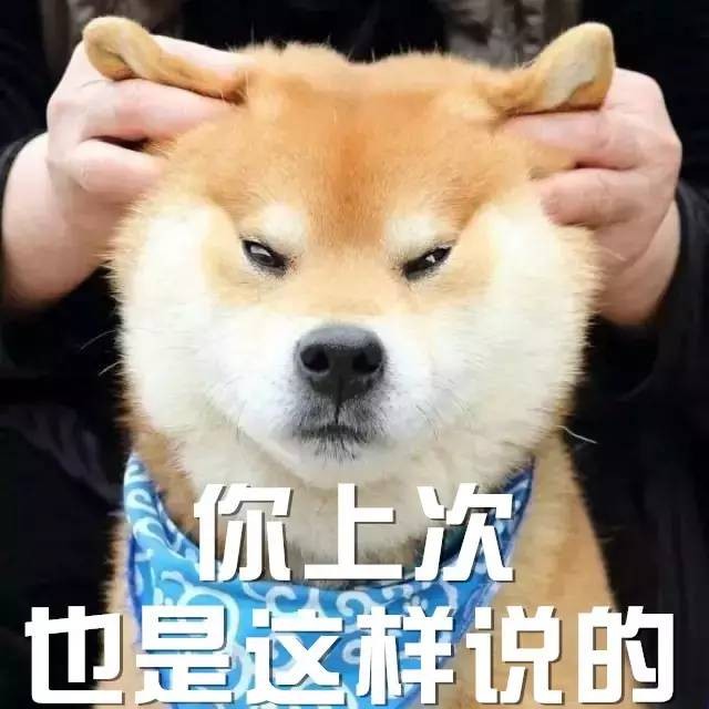 柴犬准备离家出走问明原因后才得知辛酸故事