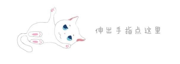 校园中出现猫咪欺凌，小黑猫无奈为橘猫捶背，网友：其实是家人！