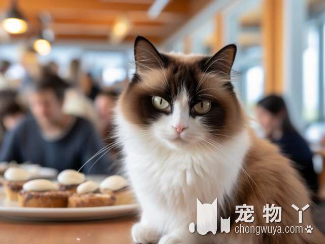 狗猫宠物，你有多了解?